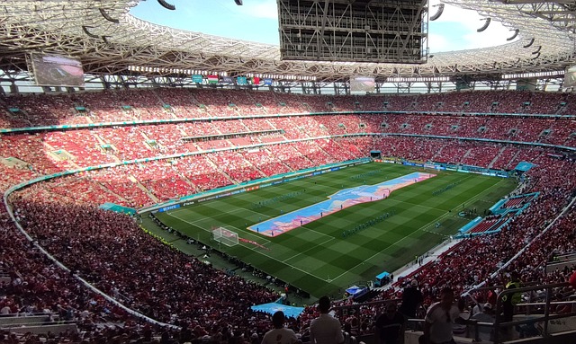 翔伞飞行活 翔伞飞行活