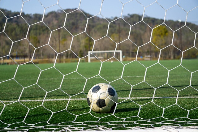 步补充道 步补充道