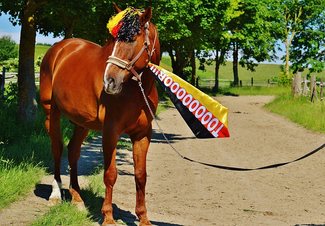 今年冬窗 今年冬窗