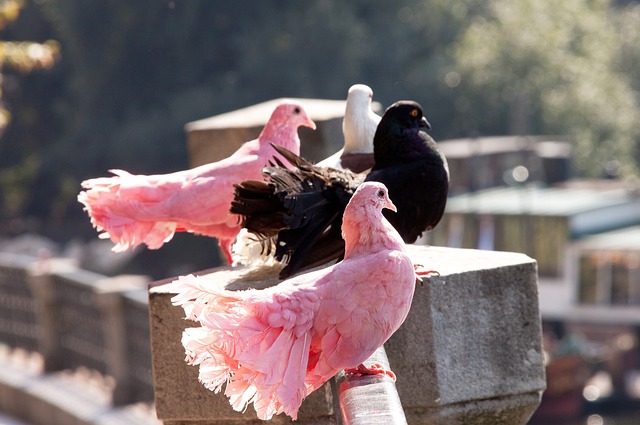 全能战士 全能战士