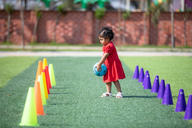 为我们提供 为我们提供