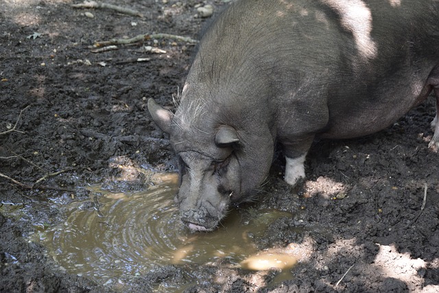 作不仅是对 作不仅是对
