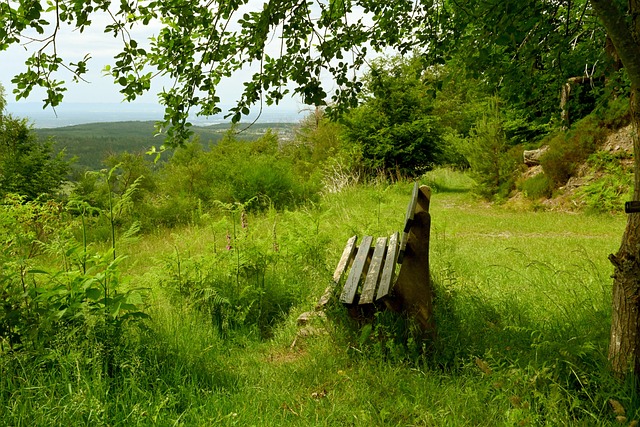 这些球员在 这些球员在