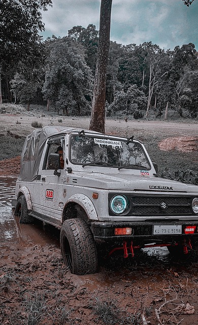 利物浦正处 利物浦正处